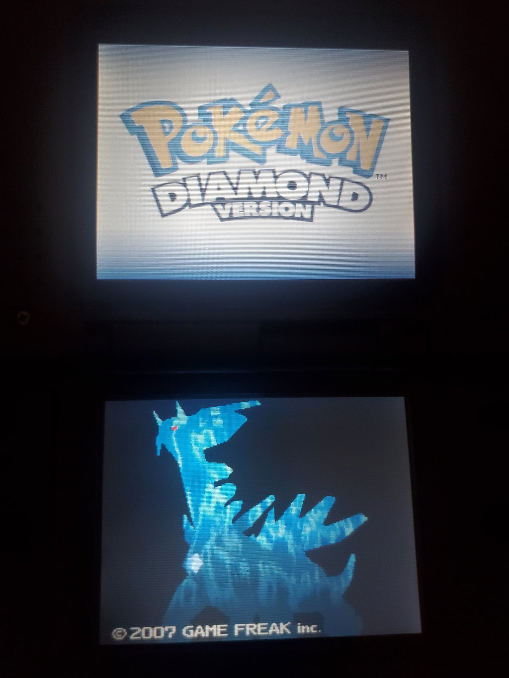 Nintendo DS Video Game Cartridge Collection NDS Pokemon